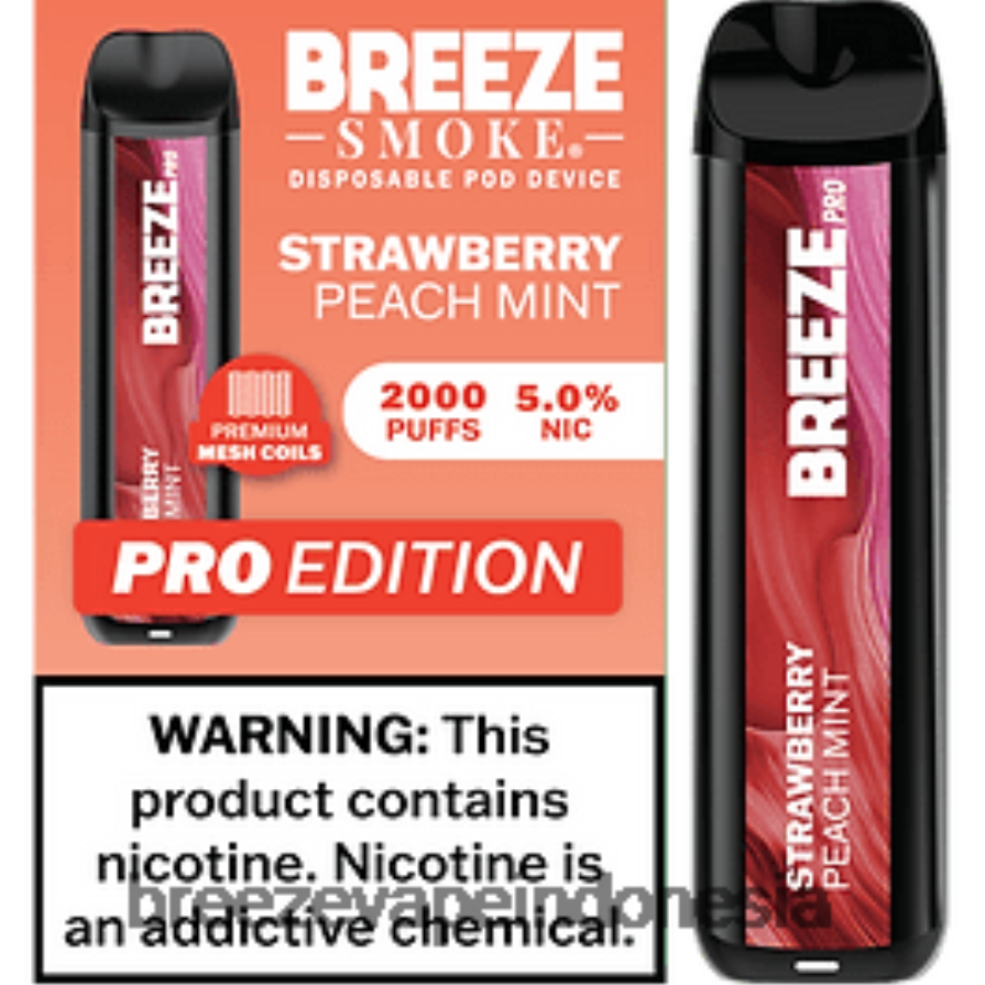 Breeze Vape Flavors | DXLRPD12 Breeze Pro 2000 isapan stroberi persik mint