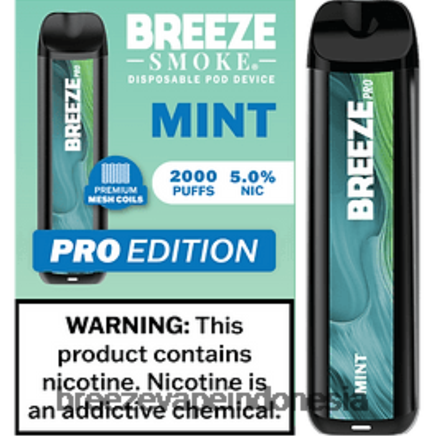 Breeze Vape Flavors Prime | DXLRPD20 Breeze Pro 2000 isapan daun mint