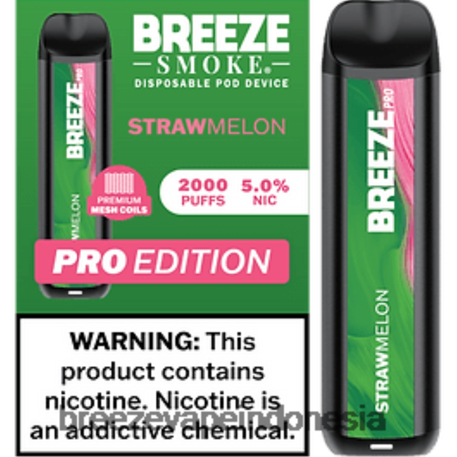 Breeze Vape Lemon Mint | DXLRPD14 Breeze Pro 2000 isapan melon jerami