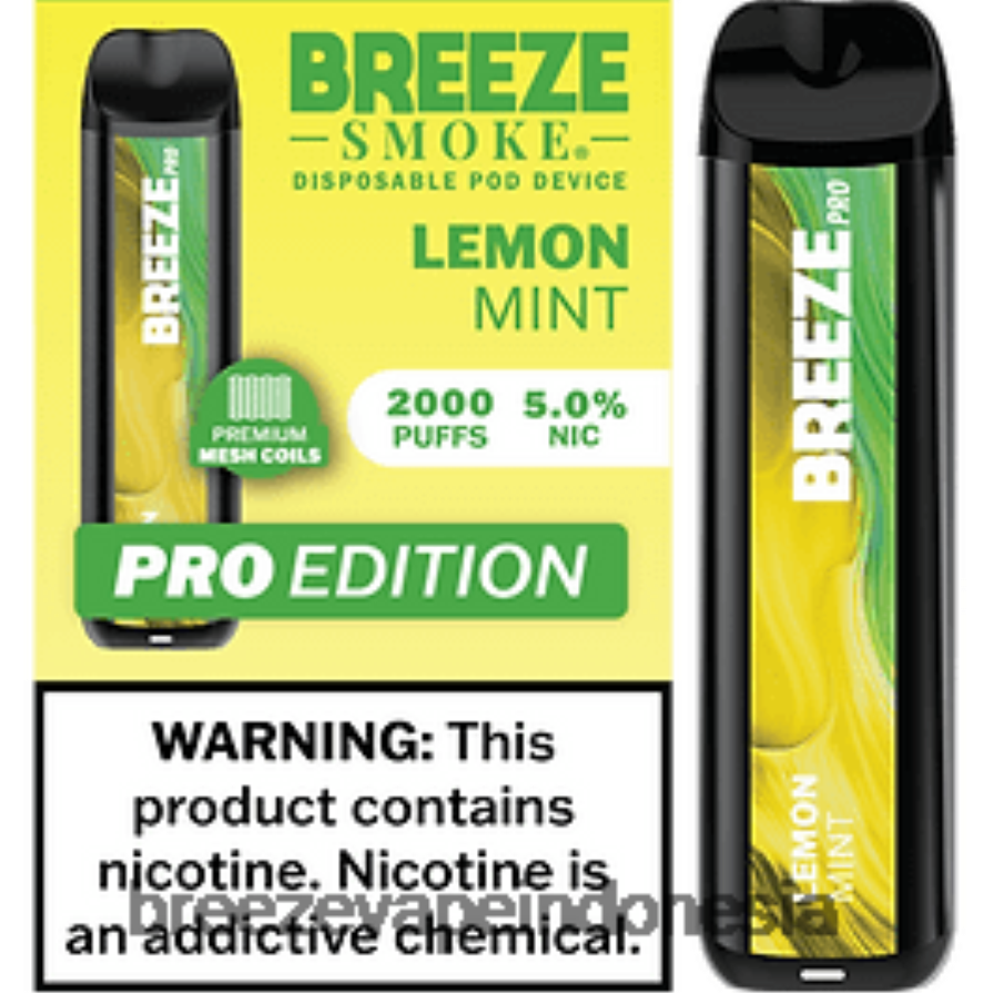 Breeze Vape Liquid | DXLRPD23 Breeze Pro 2000 isapan lemon mint