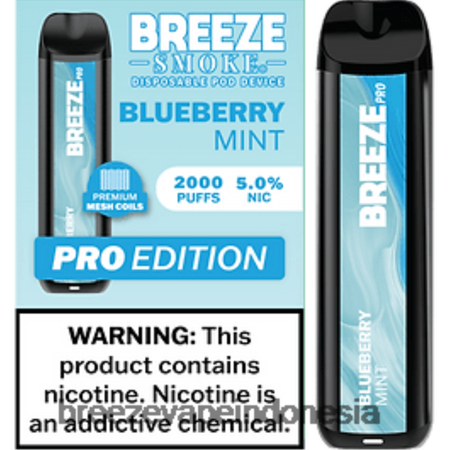 Breeze Vape Liquid | DXLRPD33 Breeze Pro 2000 isapan blueberry mint