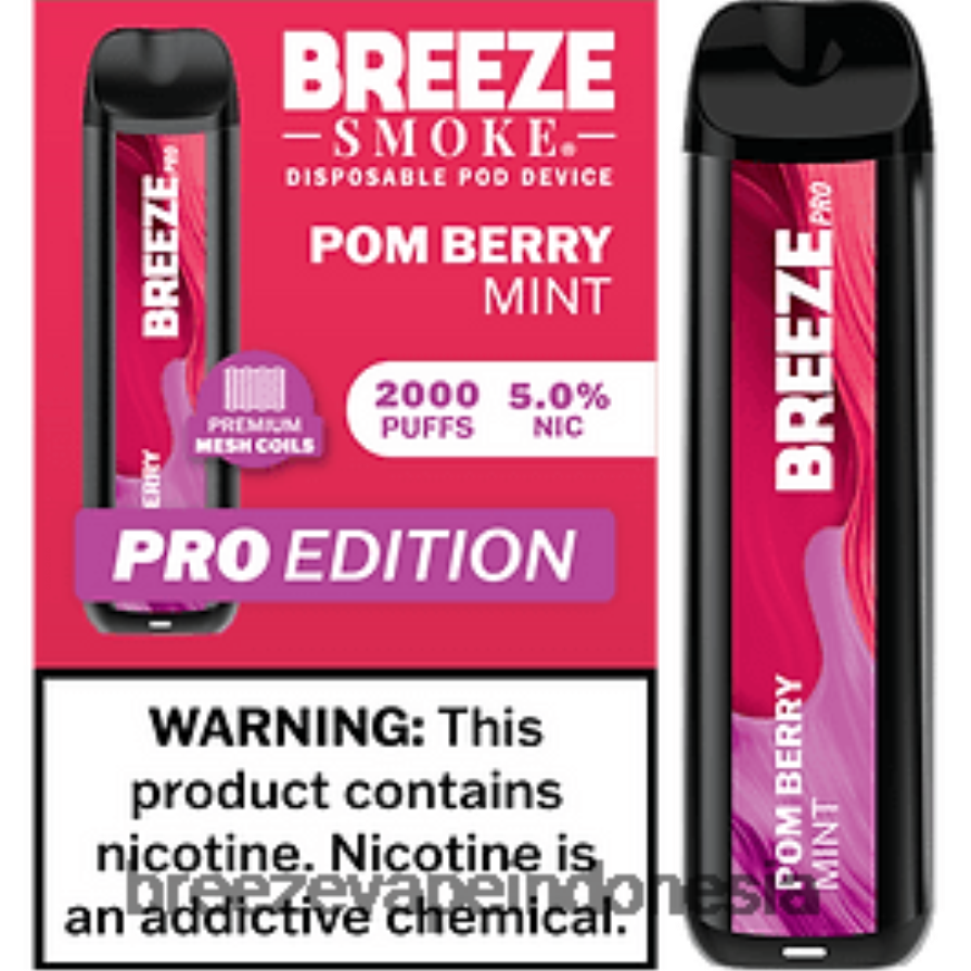 Breeze Vape Pen | DXLRPD17 Breeze Pro 2000 isapan pom beri mint