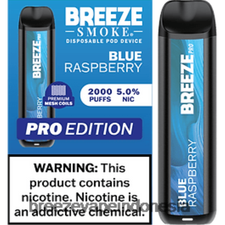 raspberry biru